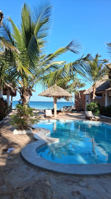 Pool surrounded by palm trees